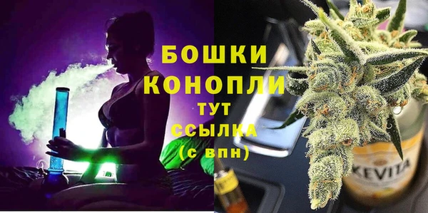 стаф Семёнов