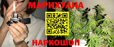 шишки Будённовск