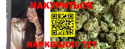 шишки Будённовск