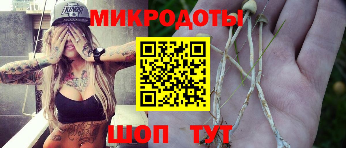 Галлюциногенные грибы Psilocybe Благодарный
